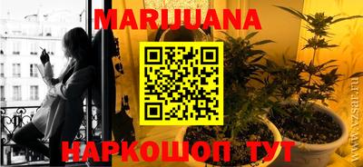 сатива Донецк