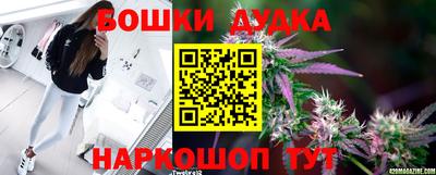 гидра Дубна