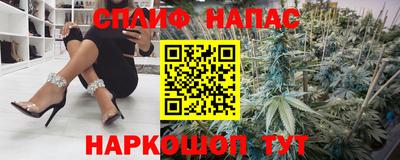 гидра Дубна
