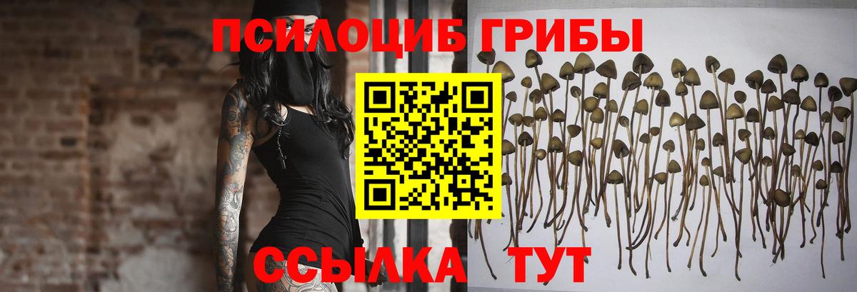 закладки  Псилоцибиновые грибы мицелий  Вход с VPN  Ярославль 